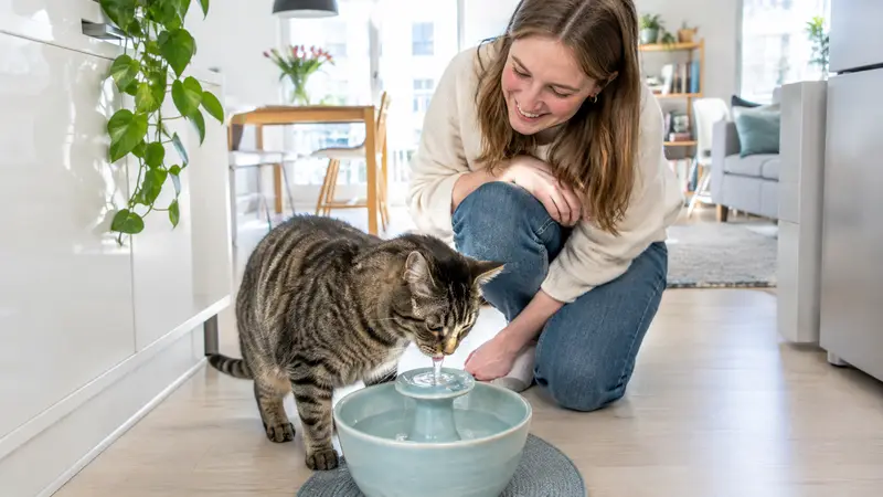 Eine getigerte Katze trinkt aus einem kleinen Trinkbrunnen aus Keramik, aus dem frisches Wasser fließt.