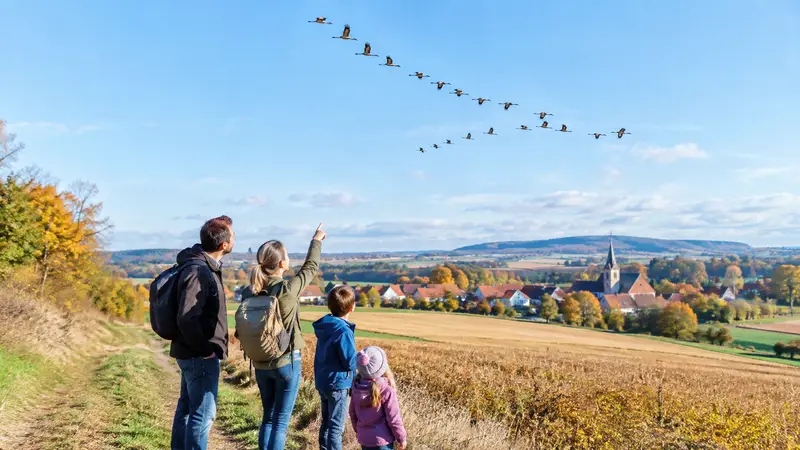 Ein großer Kranichschwarm fliegt in V-Formation über herbstliche Felder, eine Familie steht am Feldrand und schaut hinauf.